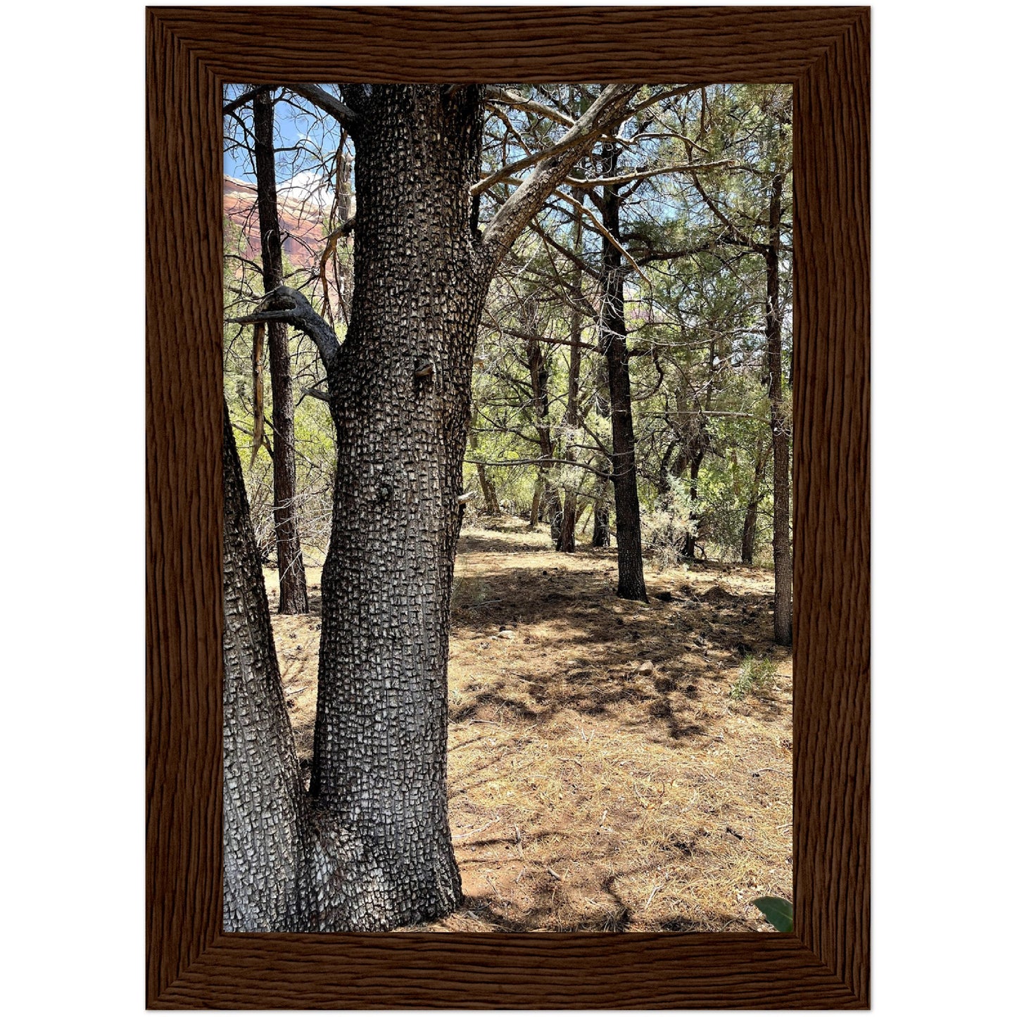 Growth in the Heat Premium Matte Paper Wooden Framed Poster