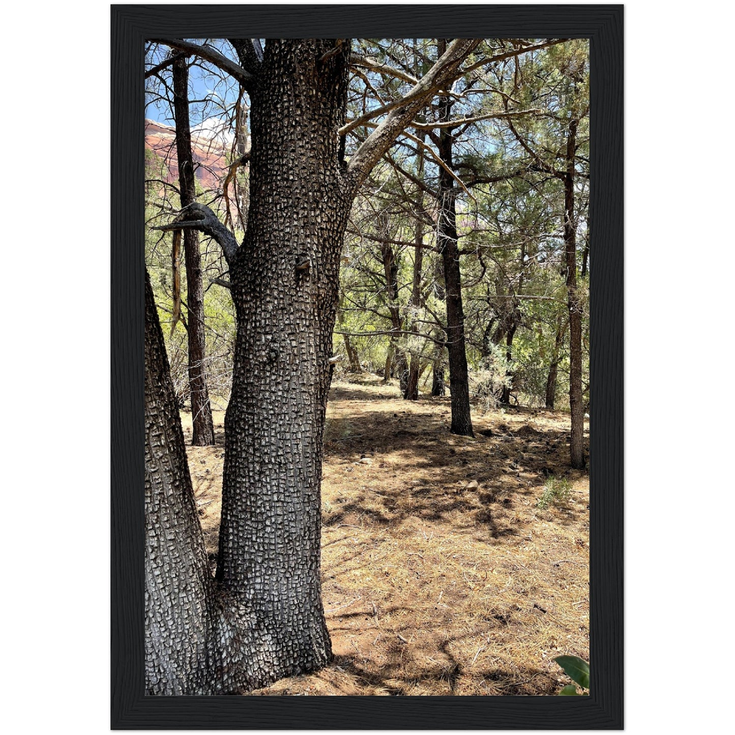 Growth in the Heat Premium Matte Paper Wooden Framed Poster