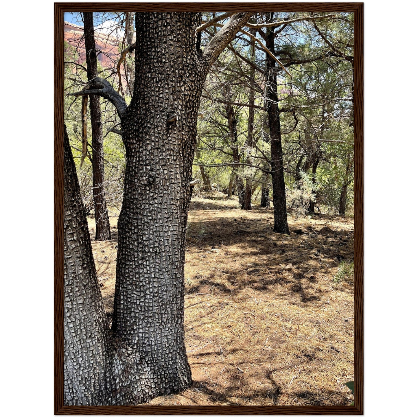 Growth in the Heat Premium Matte Paper Wooden Framed Poster