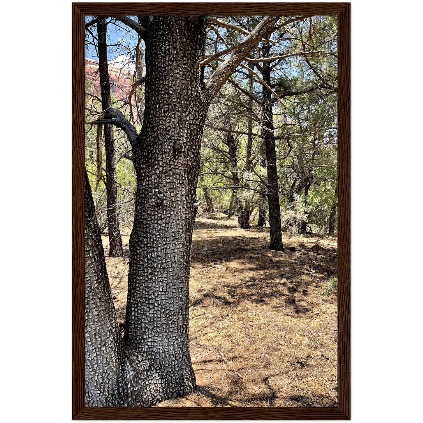 Growth in the Heat Premium Matte Paper Wooden Framed Poster