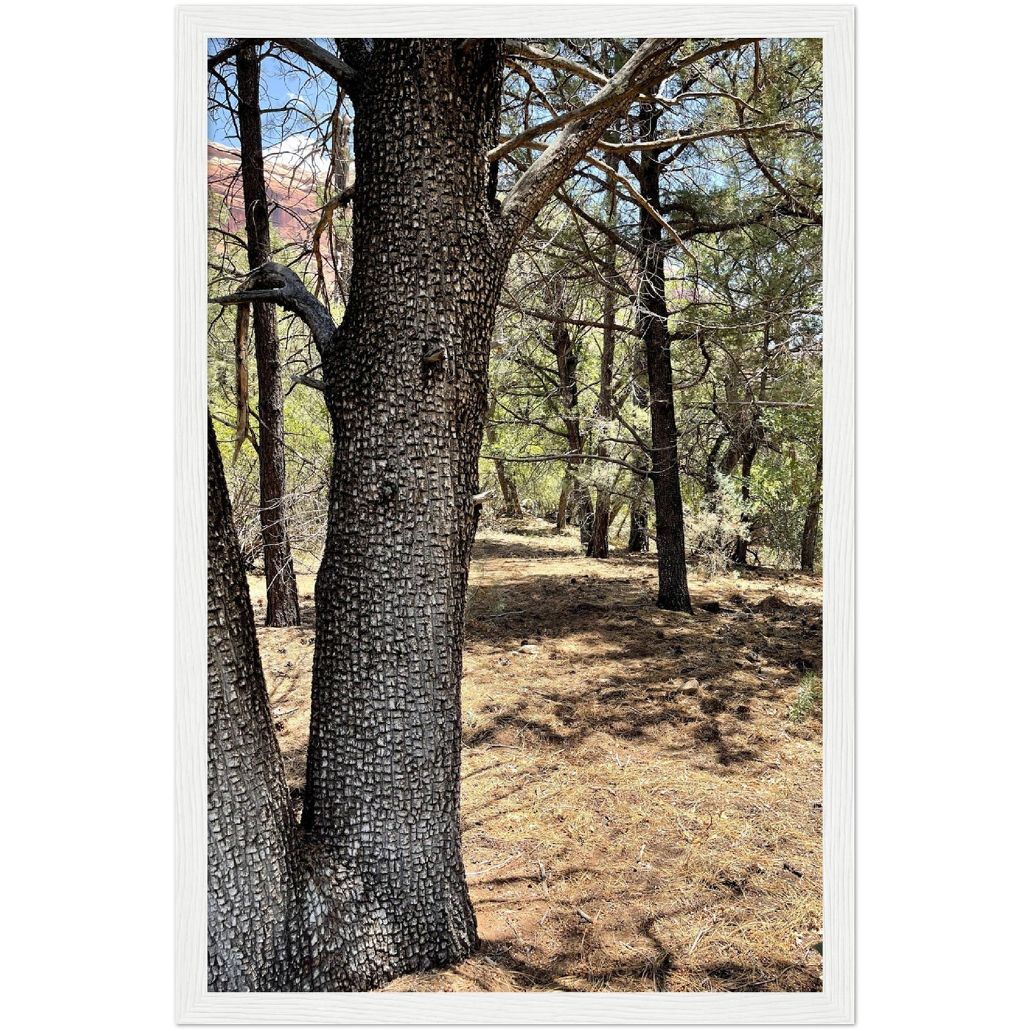 Growth in the Heat Premium Matte Paper Wooden Framed Poster