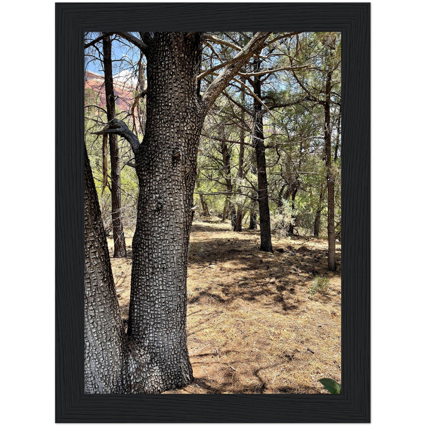 Growth in the Heat Premium Matte Paper Wooden Framed Poster