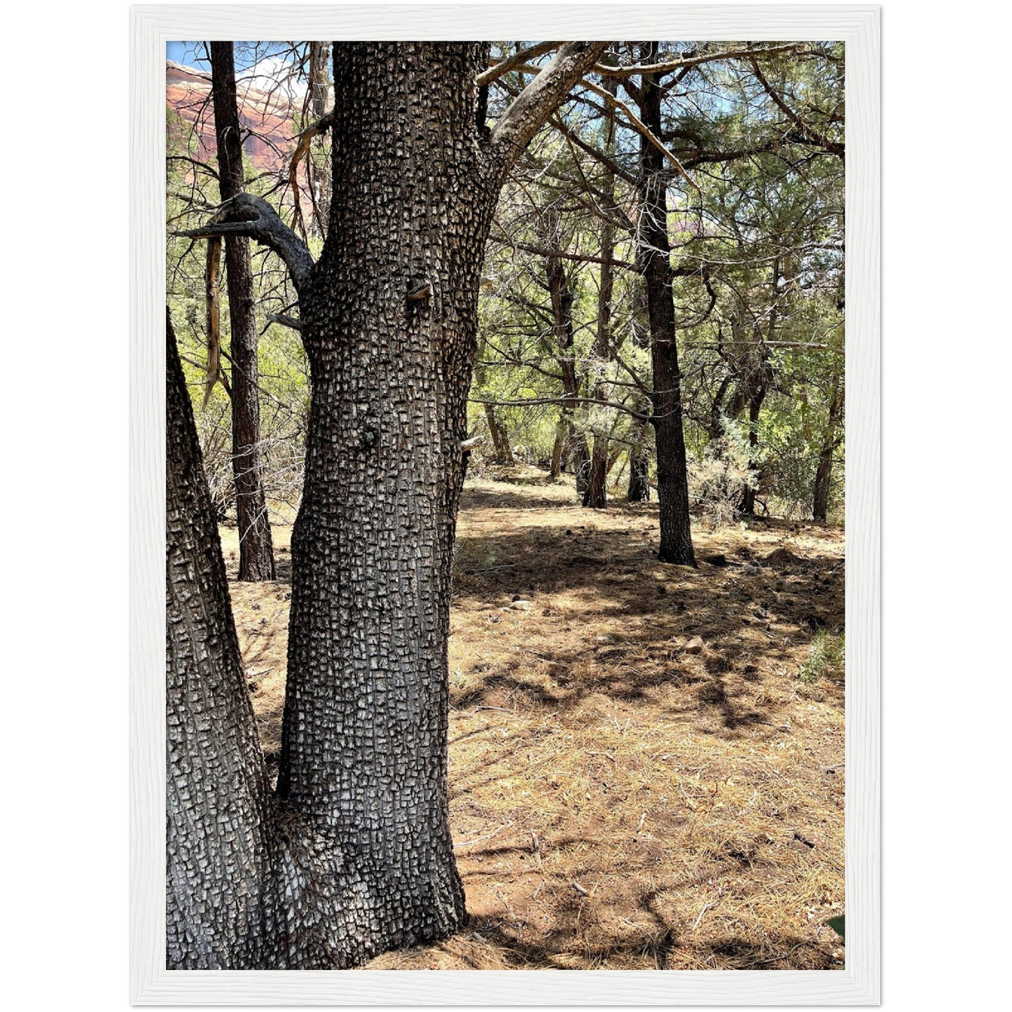 Growth in the Heat Premium Matte Paper Wooden Framed Poster