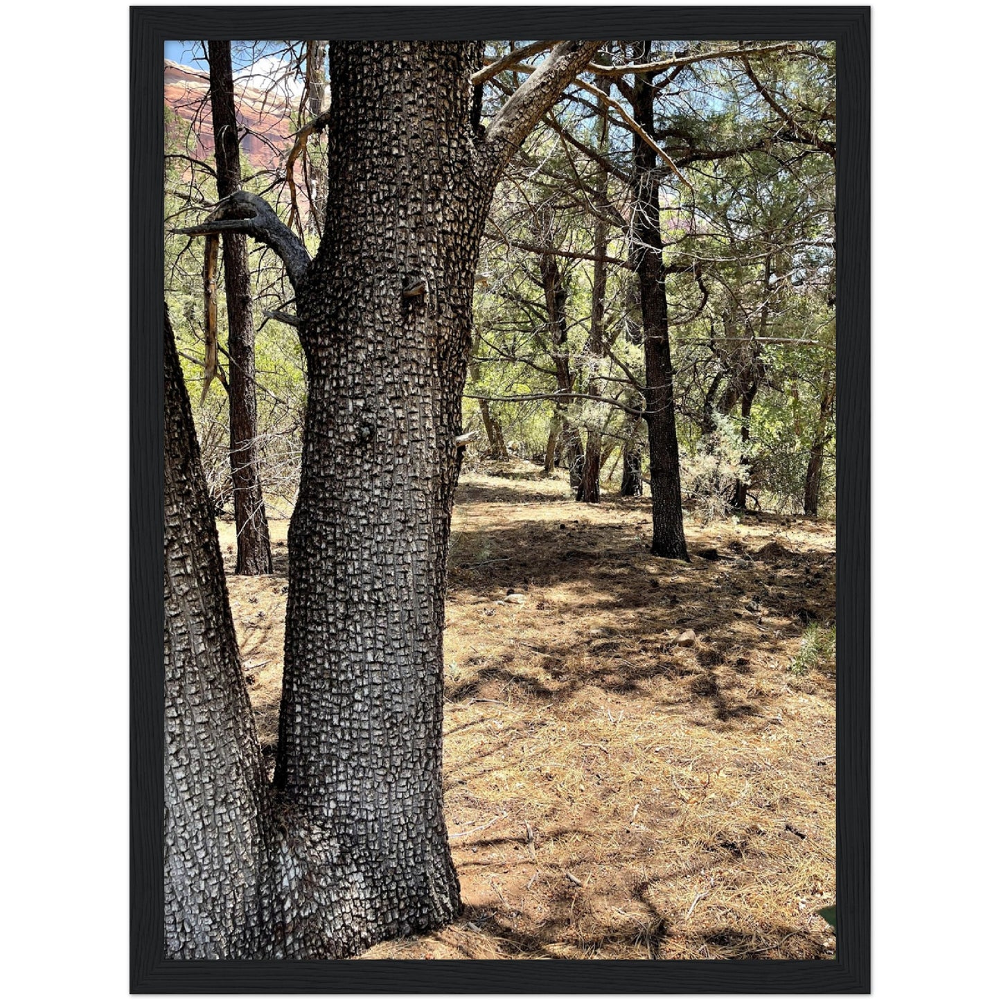 Growth in the Heat Premium Matte Paper Wooden Framed Poster