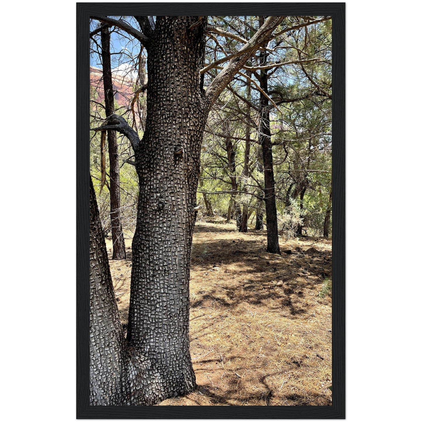 Growth in the Heat Premium Matte Paper Wooden Framed Poster