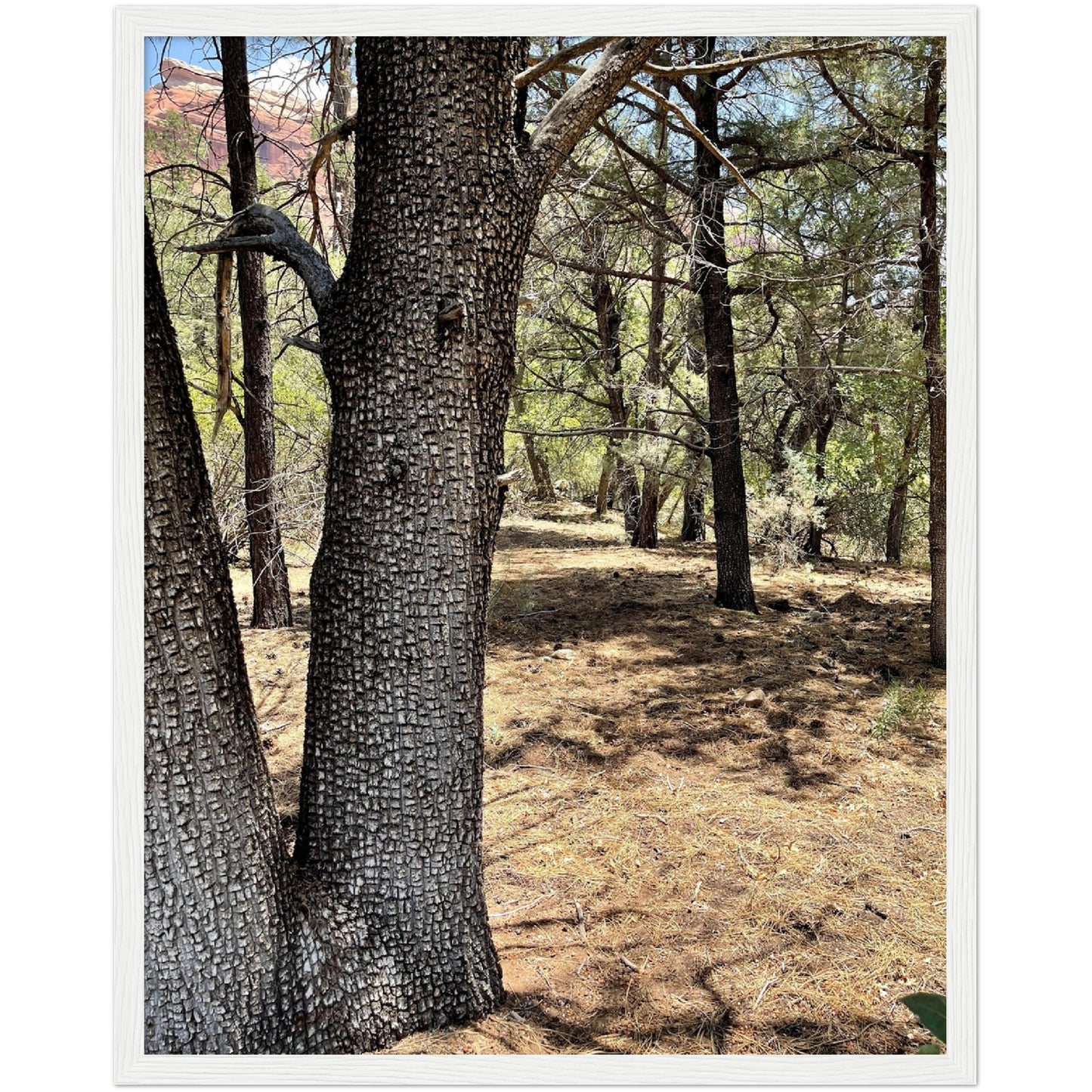 Growth in the Heat Premium Matte Paper Wooden Framed Poster