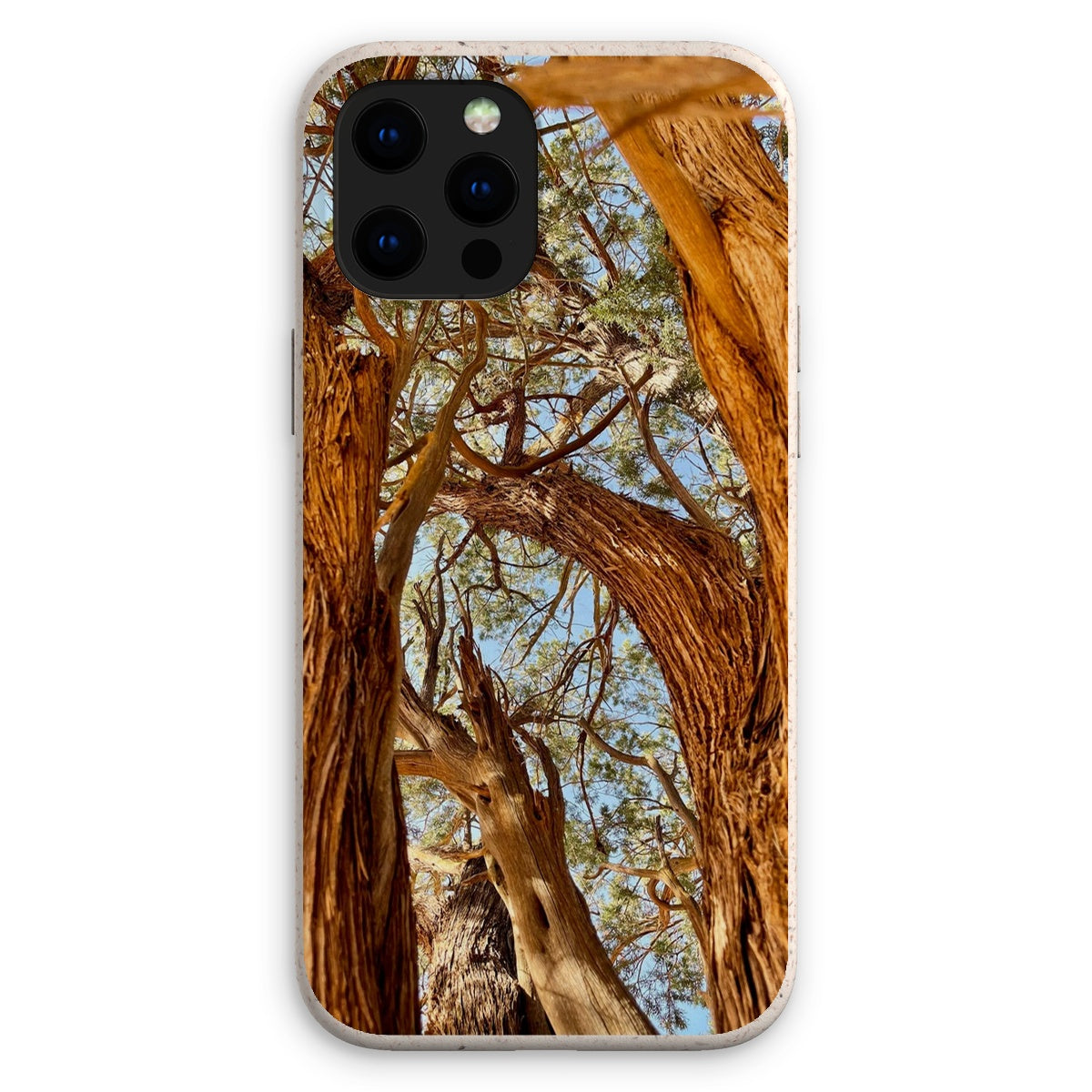 The Soul Tree Eco Phone Case