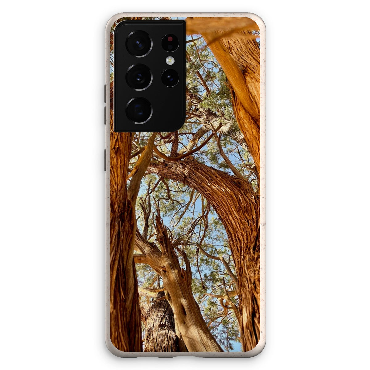 The Soul Tree Eco Phone Case