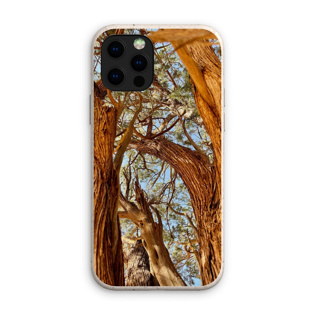 The Soul Tree Eco Phone Case