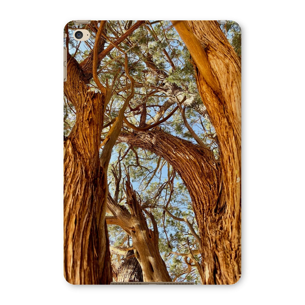 The Soul Tree Tablet Cases