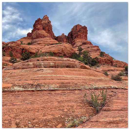 ae1e1833-2be4-48bf-8b67-aceaa1b7f42a