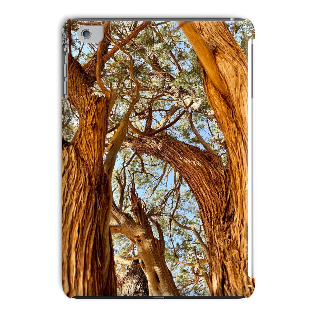 The Soul Tree Tablet Cases