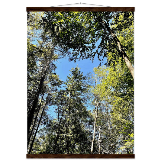 d557ac77-4512-4f52-838e-a4a889bed8c9