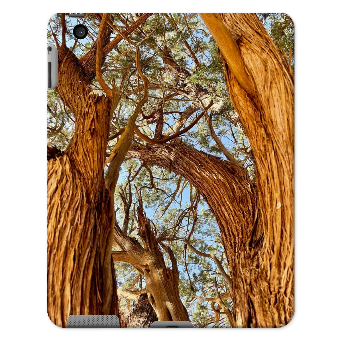 The Soul Tree Tablet Cases