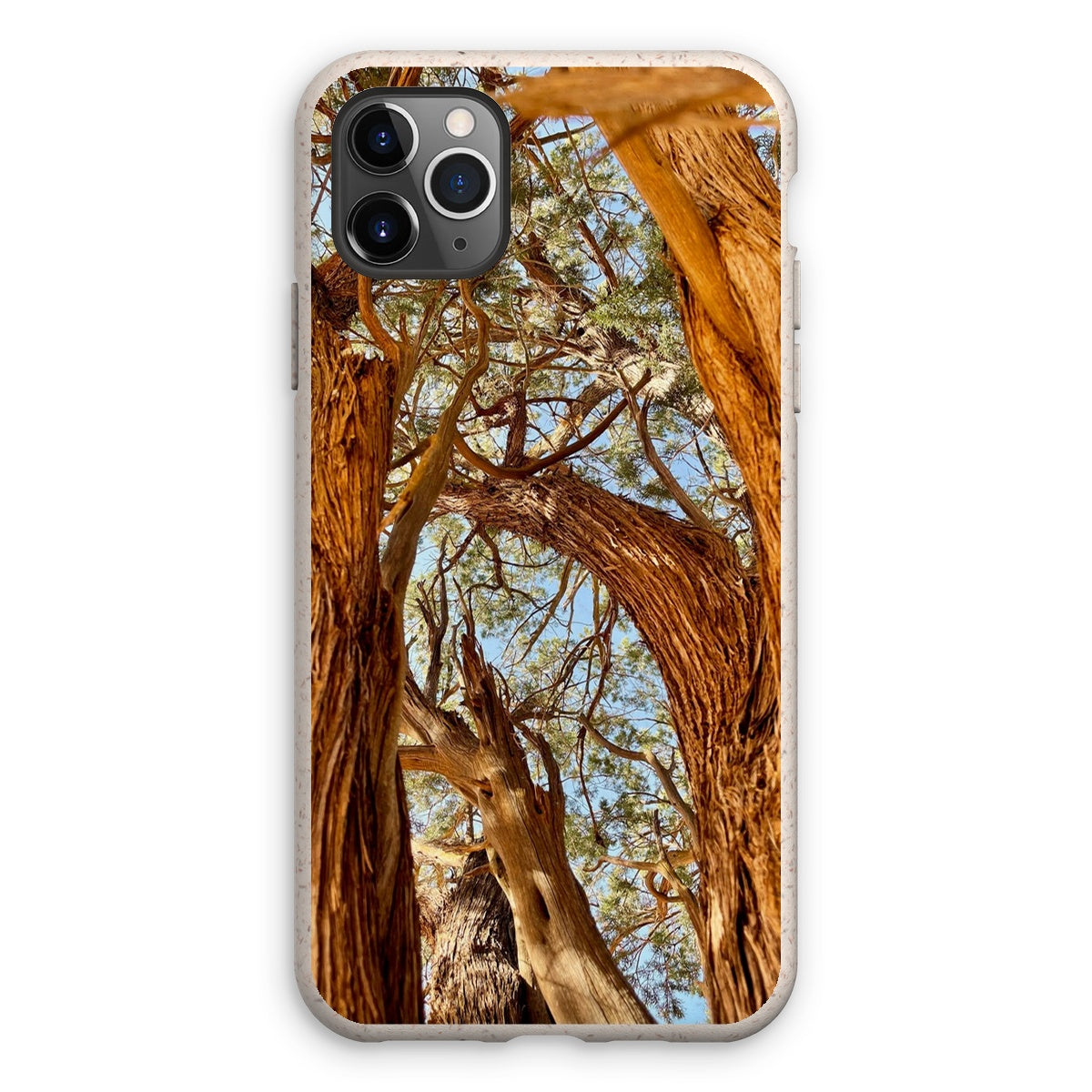 The Soul Tree Eco Phone Case
