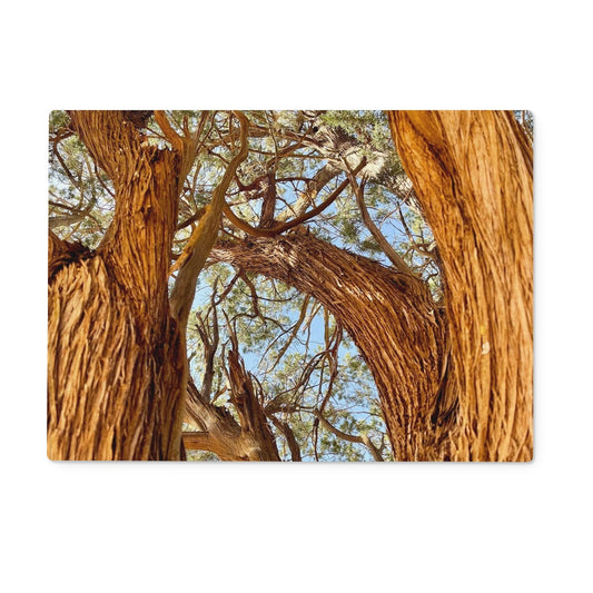 The Soul Tree Glass Chopping Board