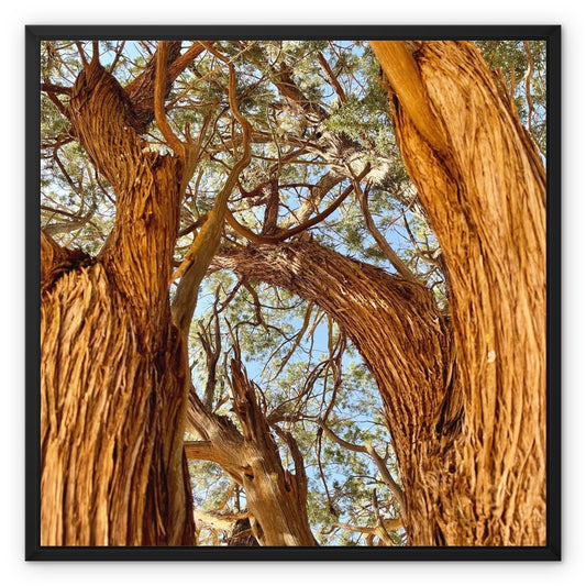 The Soul Tree Framed Canvas