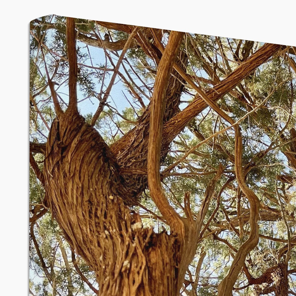 The Soul Tree Canvas