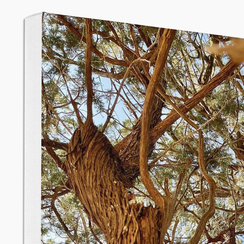 The Soul Tree Canvas