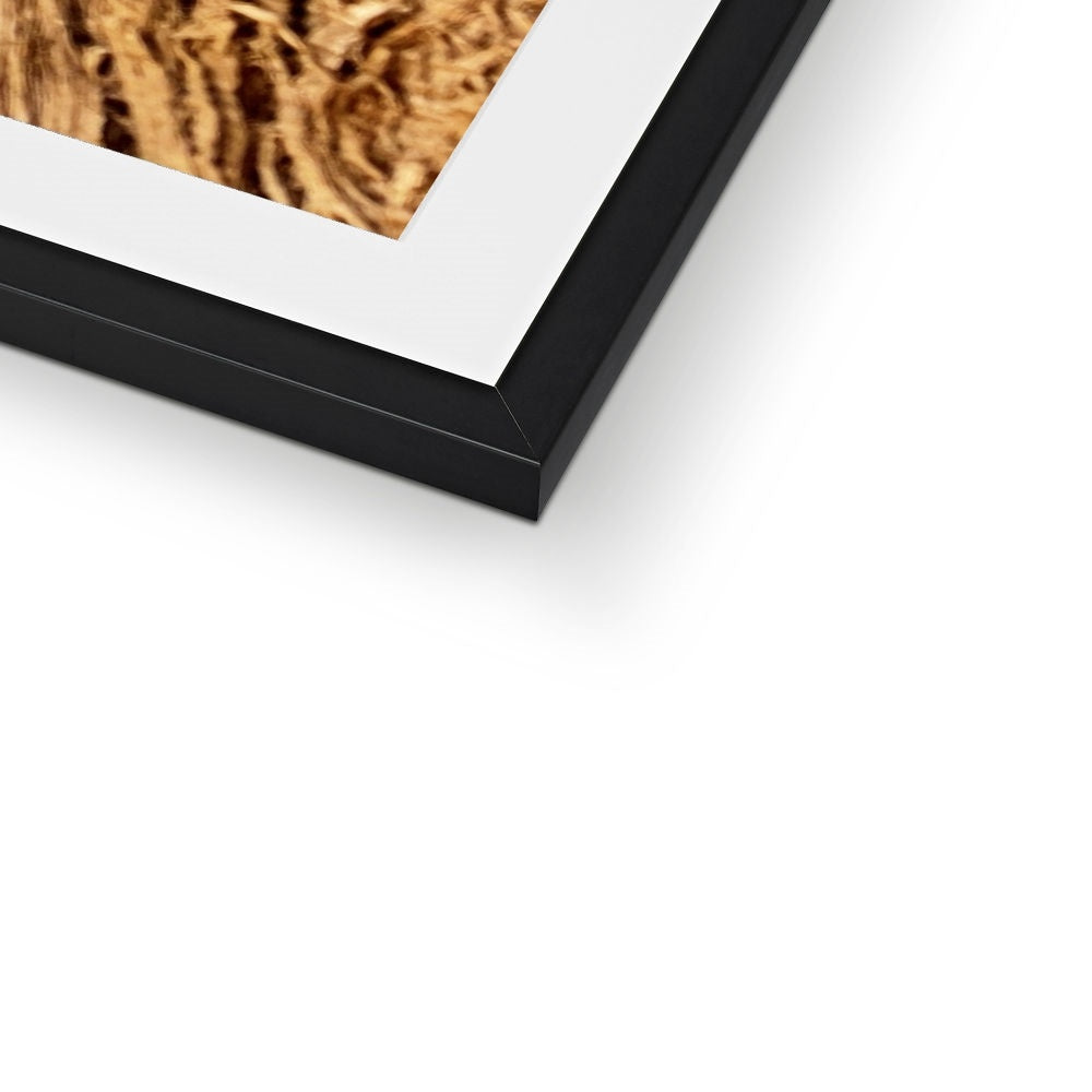 The Soul Tree Framed & Mounted Print