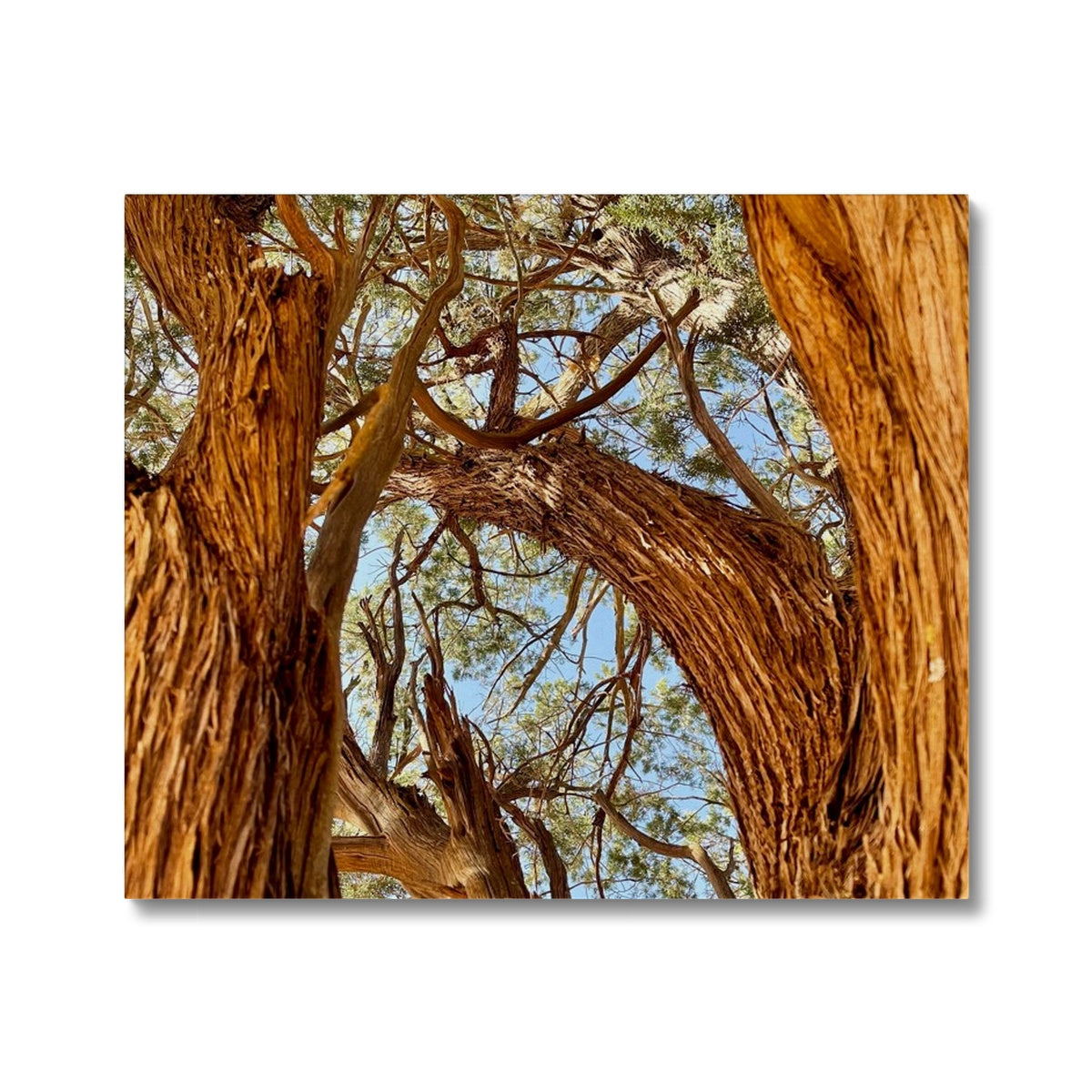 The Soul Tree Canvas