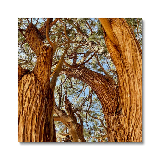 The Soul Tree Canvas