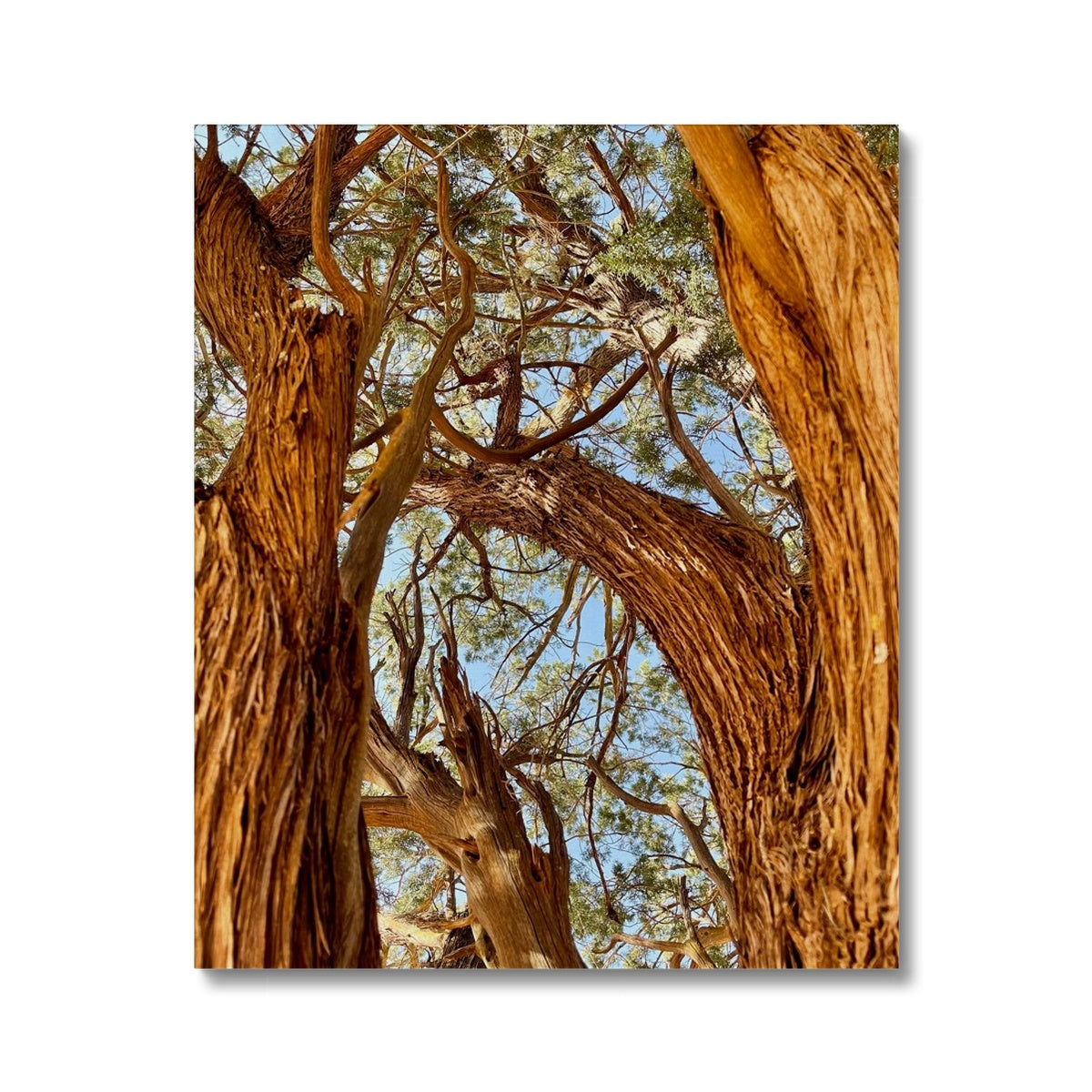 The Soul Tree Canvas