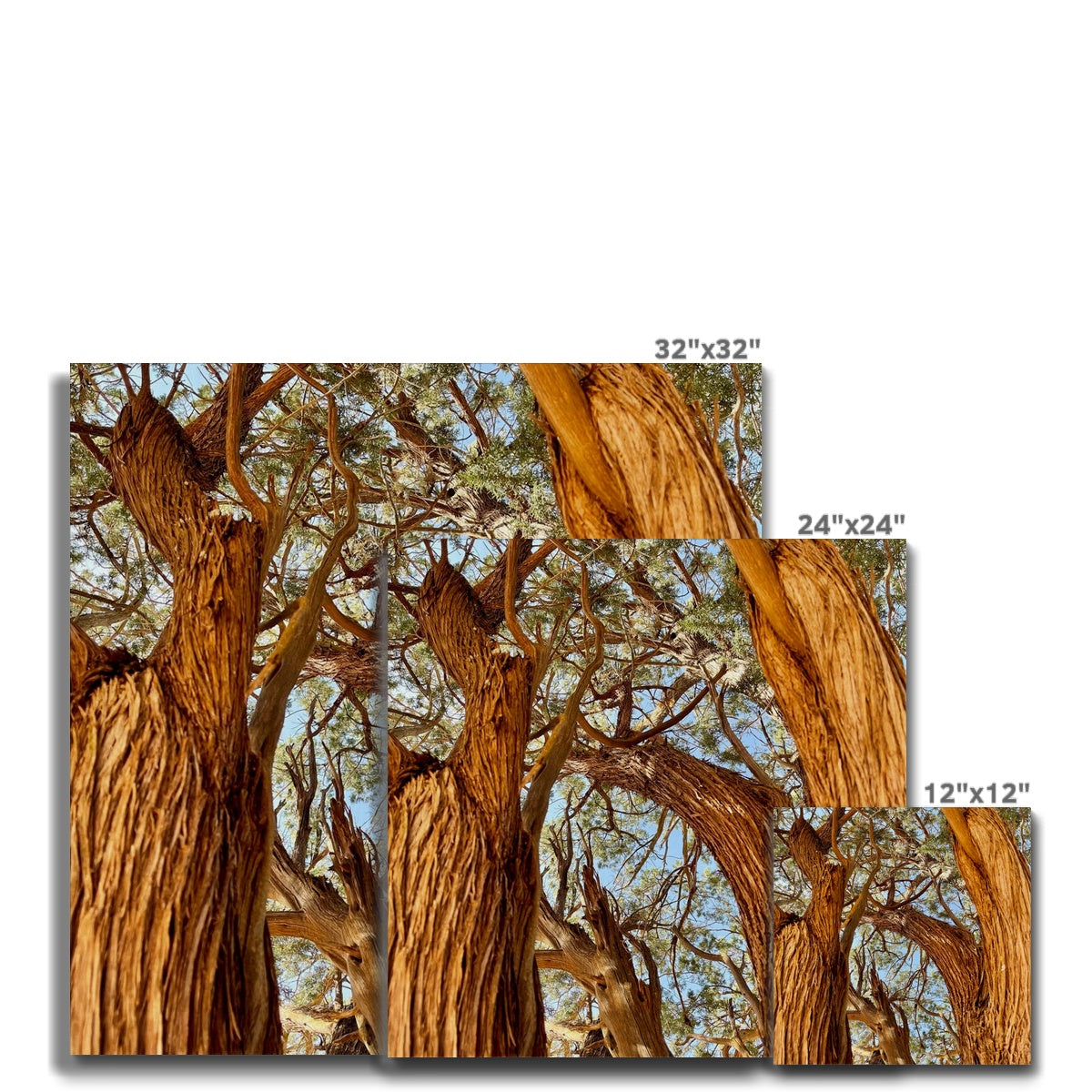 The Soul Tree Canvas