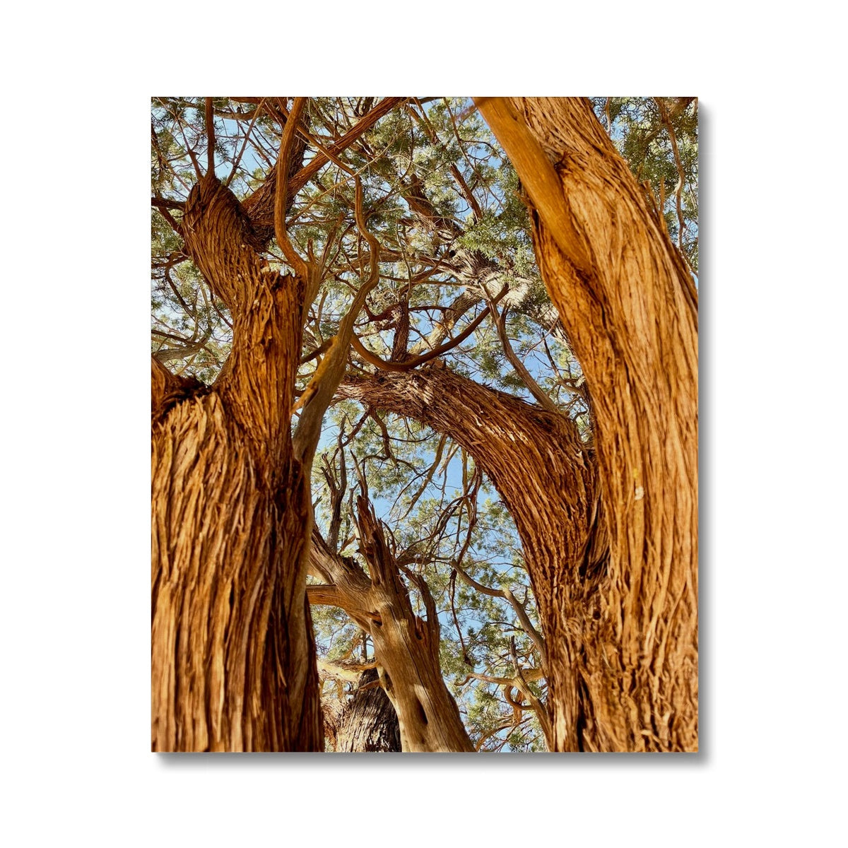 The Soul Tree Canvas