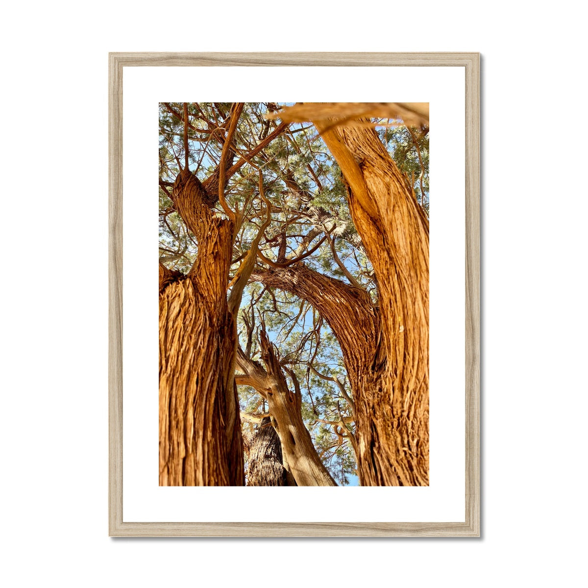 The Soul Tree Framed & Mounted Print