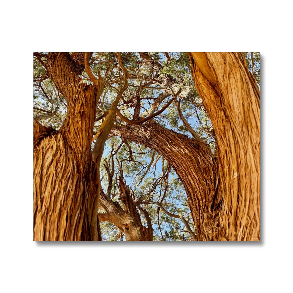 The Soul Tree Canvas